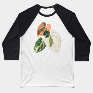 Variegated Anthurium crystallinum - Botanical Illustration Baseball T-Shirt